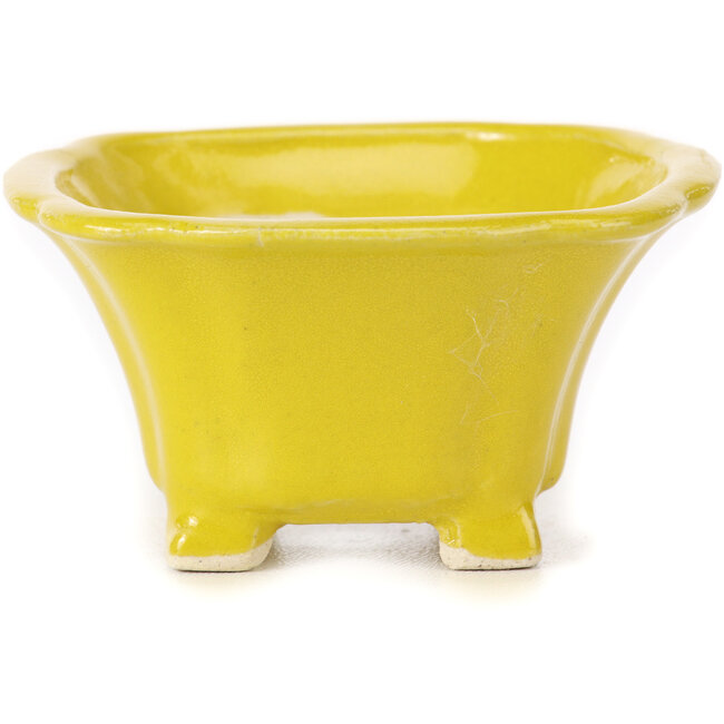Maceta de bonsái amarilla cuadrada de Seto - 90 x 90 x 45 mm