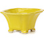 Pot à bonsaï carré jaune par Seto - 90 x 90 x 45 mm
