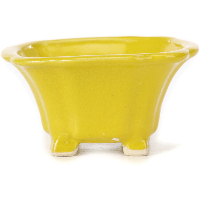 Maceta de bonsái amarilla cuadrada de Seto - 90 x 90 x 45 mm