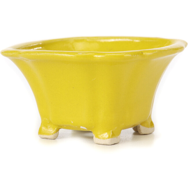 Pot à bonsaï carré jaune par Seto - 90 x 90 x 45 mm