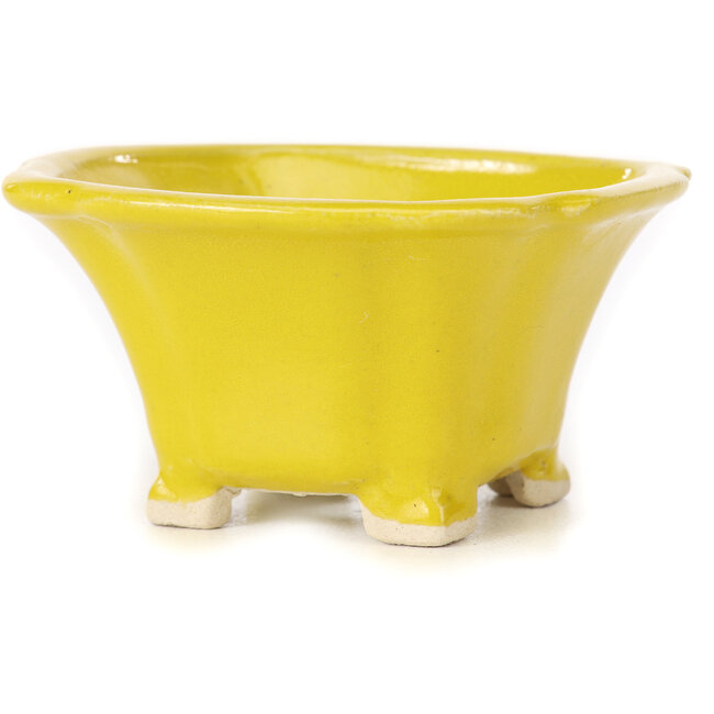 Vaso bonsai quadrato giallo di Seto - 90 x 90 x 45 mm