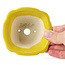 Pot à bonsaï carré jaune par Seto - 90 x 90 x 45 mm