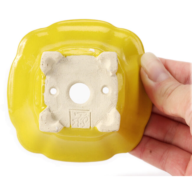 Pot à bonsaï carré jaune par Seto - 90 x 90 x 45 mm