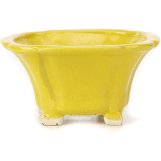 Seto Pot à bonsaï carré jaune 90 mm par Seto, Japon