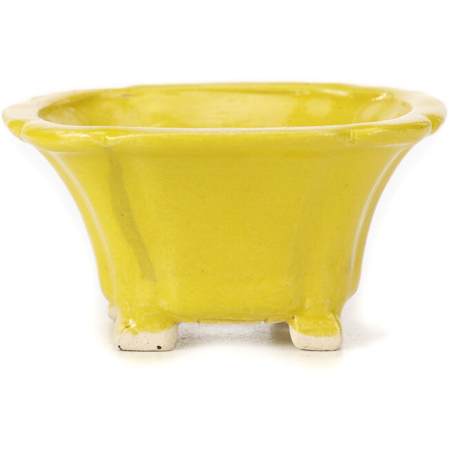 Square yellow bonsai pot by Seto - 90 x 90 x 50 mm