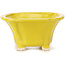 Vierkante gele bonsaipot van Seto - 90 x 90 x 50 mm
