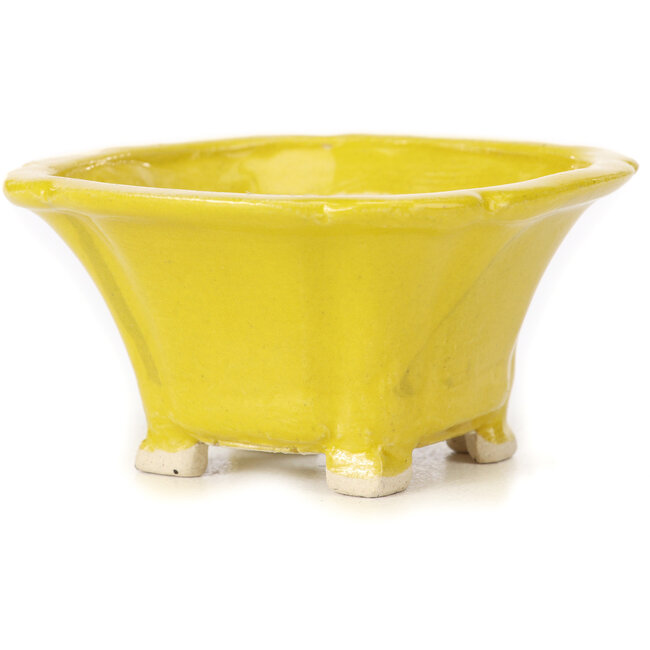 Quadratische gelbe Bonsaischale von Seto - 90 x 90 x 50 mm