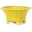 Pot à bonsaï carré jaune par Seto - 90 x 90 x 50 mm