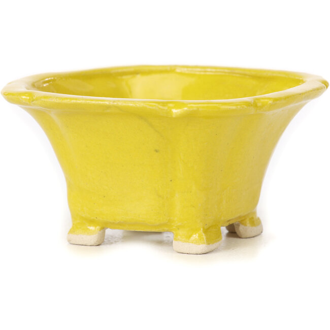 Vierkante gele bonsaipot van Seto - 90 x 90 x 50 mm