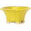 Pot à bonsaï carré jaune par Seto - 90 x 90 x 50 mm