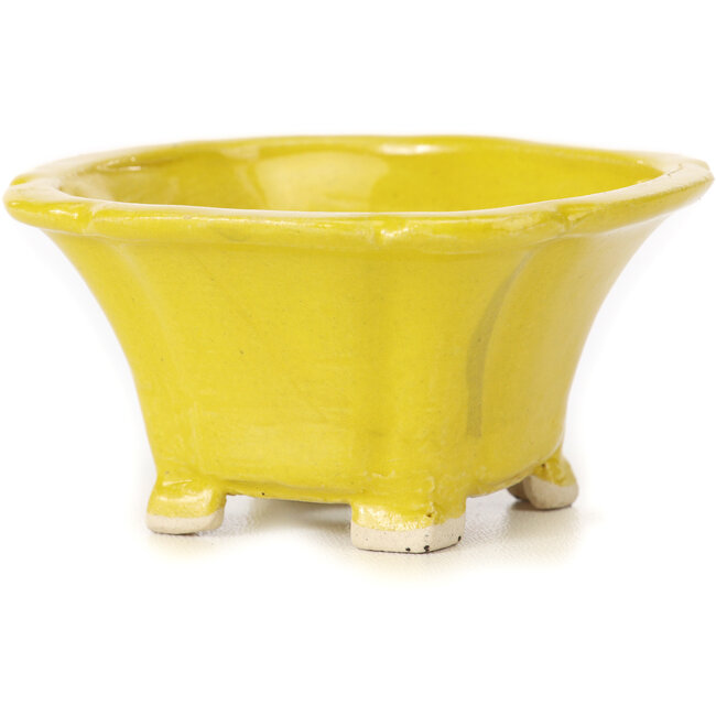 Vierkante gele bonsaipot van Seto - 90 x 90 x 50 mm