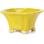 Pot à bonsaï carré jaune par Seto - 90 x 90 x 50 mm