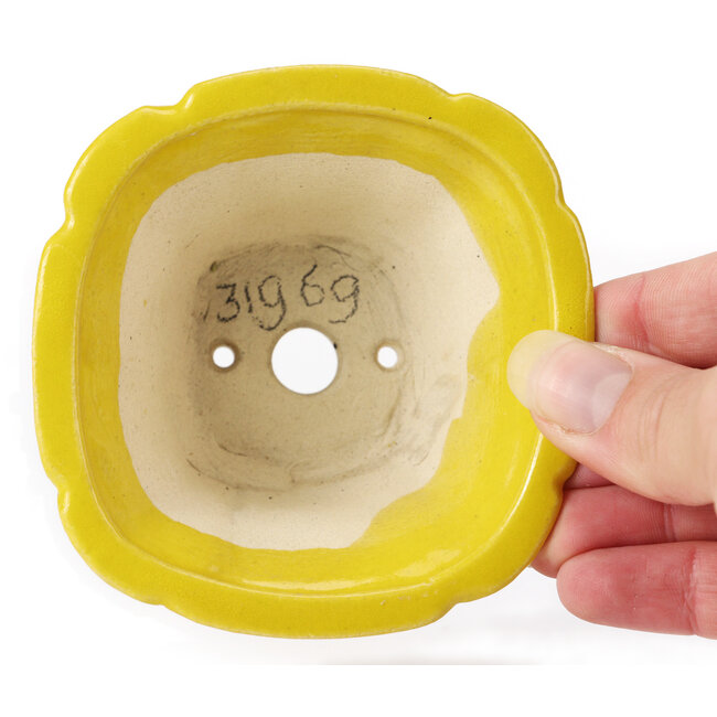 Pot à bonsaï carré jaune par Seto - 90 x 90 x 50 mm