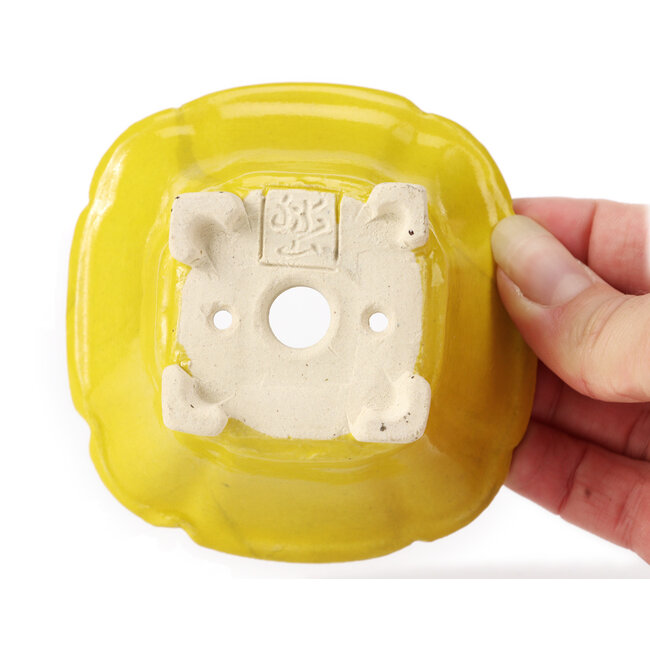 Pot à bonsaï carré jaune par Seto - 90 x 90 x 50 mm