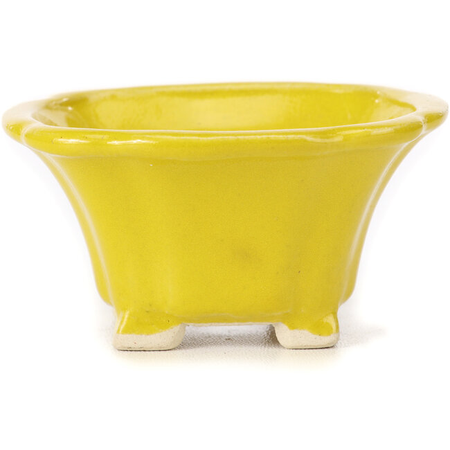 Vaso bonsai quadrato giallo di Seto - 90 x 90 x 45 mm