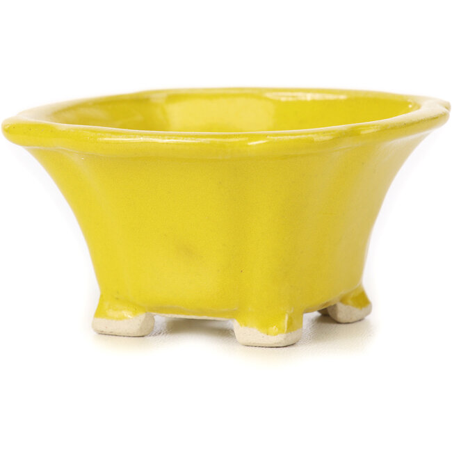 Vaso bonsai quadrato giallo di Seto - 90 x 90 x 45 mm