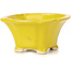Vaso bonsai quadrato giallo di Seto - 90 x 90 x 45 mm