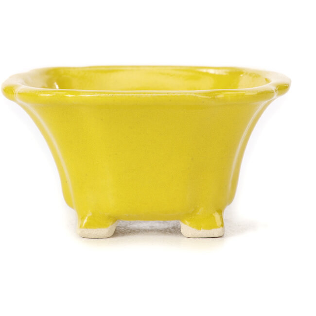 Vaso bonsai quadrato giallo di Seto - 90 x 90 x 45 mm