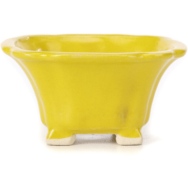 Pot à bonsaï carré jaune par Seto - 90 x 90 x 45 mm