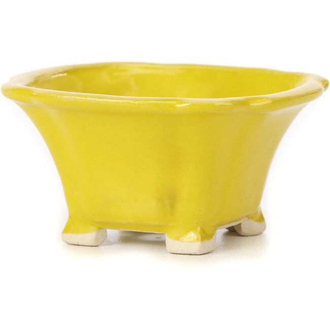 Square yellow bonsai pot by Seto - 90 x 90 x 45 mm