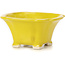 Vaso bonsai quadrato giallo di Seto - 90 x 90 x 45 mm