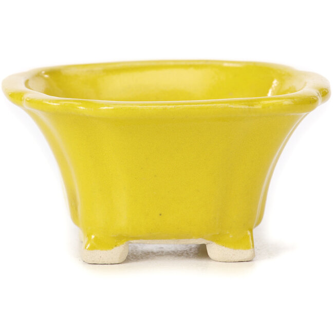 Pot à bonsaï carré jaune par Seto - 90 x 90 x 45 mm