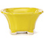 Vaso bonsai quadrato giallo di Seto - 90 x 90 x 45 mm