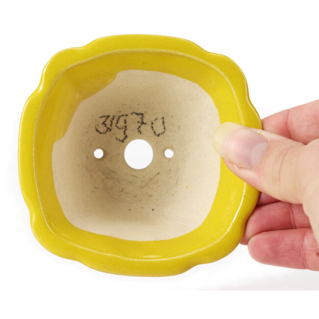 Maceta de bonsái amarilla cuadrada de Seto - 90 x 90 x 45 mm