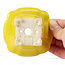 Vaso bonsai quadrato giallo di Seto - 90 x 90 x 45 mm