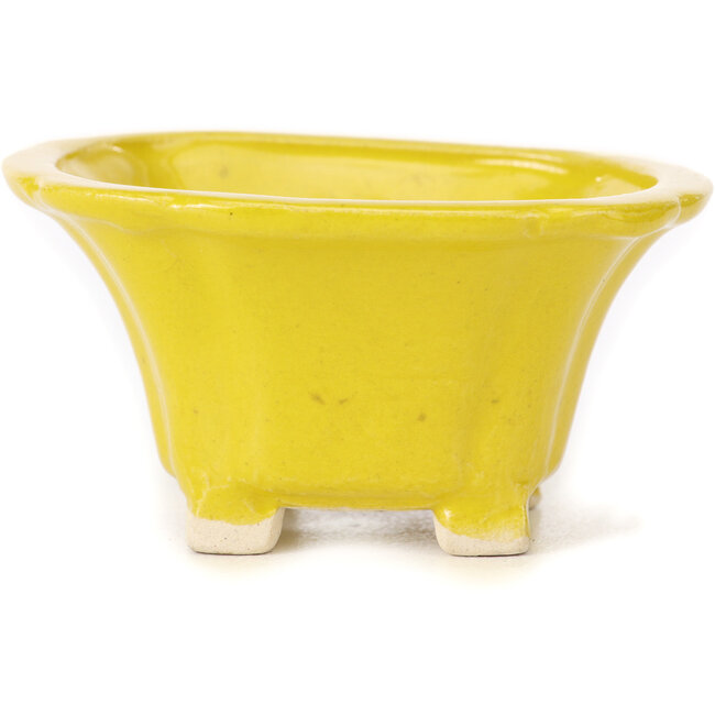 Square yellow bonsai pot by Seto - 90 x 90 x 50 mm