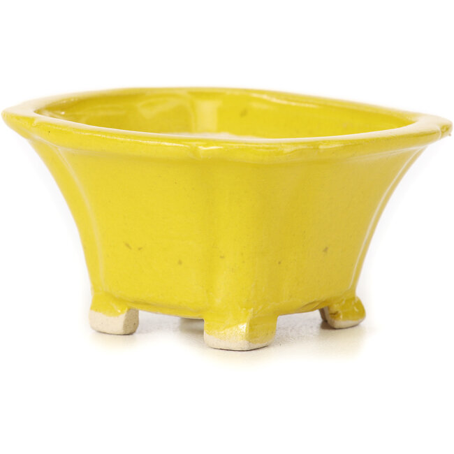 Vierkante gele bonsaipot van Seto - 90 x 90 x 50 mm