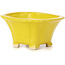 Pot à bonsaï carré jaune par Seto - 90 x 90 x 50 mm