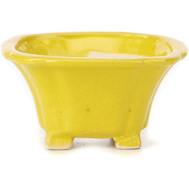 Maceta de bonsái amarilla cuadrada de Seto - 90 x 90 x 50 mm