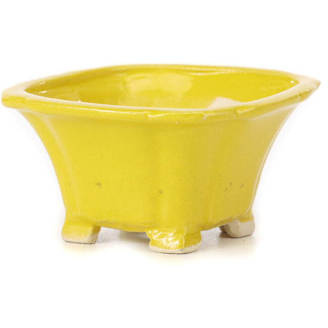 Square yellow bonsai pot by Seto - 90 x 90 x 50 mm