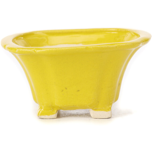Vierkante gele bonsaipot van Seto - 90 x 90 x 50 mm