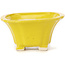 Pot à bonsaï carré jaune par Seto - 90 x 90 x 50 mm