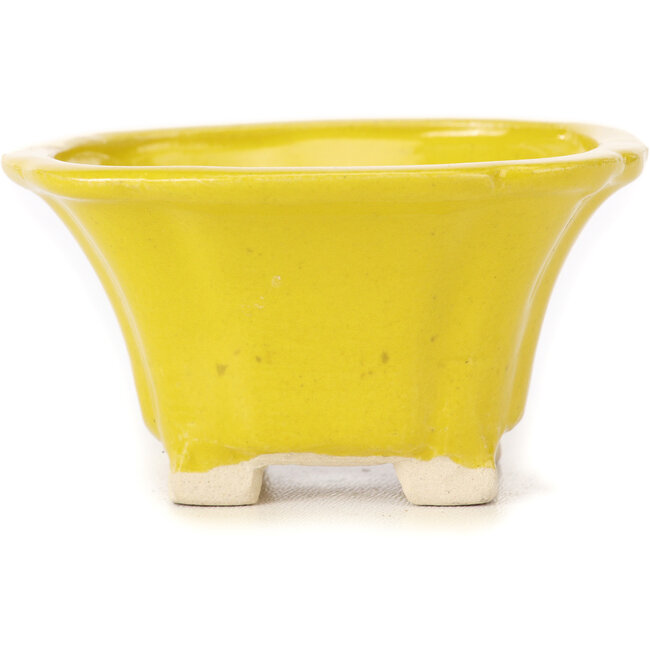 Square yellow bonsai pot by Seto - 90 x 90 x 50 mm