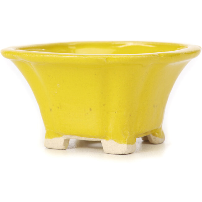 Square yellow bonsai pot by Seto - 90 x 90 x 50 mm