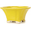 Pot à bonsaï carré jaune par Seto - 90 x 90 x 50 mm