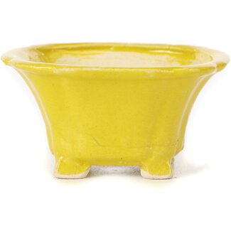 Seto Pot à bonsaï carré jaune 90 mm par Seto, Japon