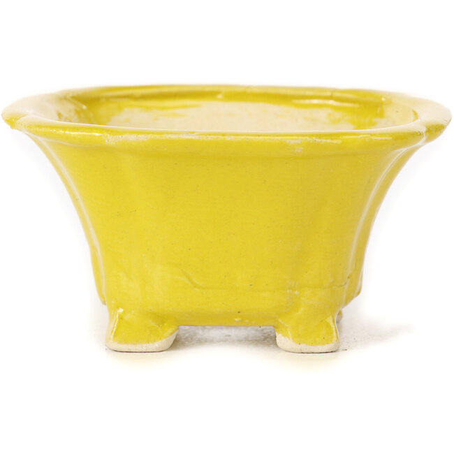 Square yellow bonsai pot by Seto - 90 x 90 x 45 mm