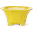 Square yellow bonsai pot by Seto - 90 x 90 x 45 mm