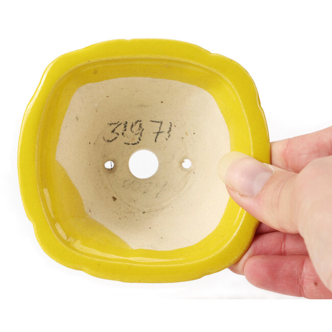 Vaso bonsai quadrato giallo di Seto - 90 x 90 x 50 mm