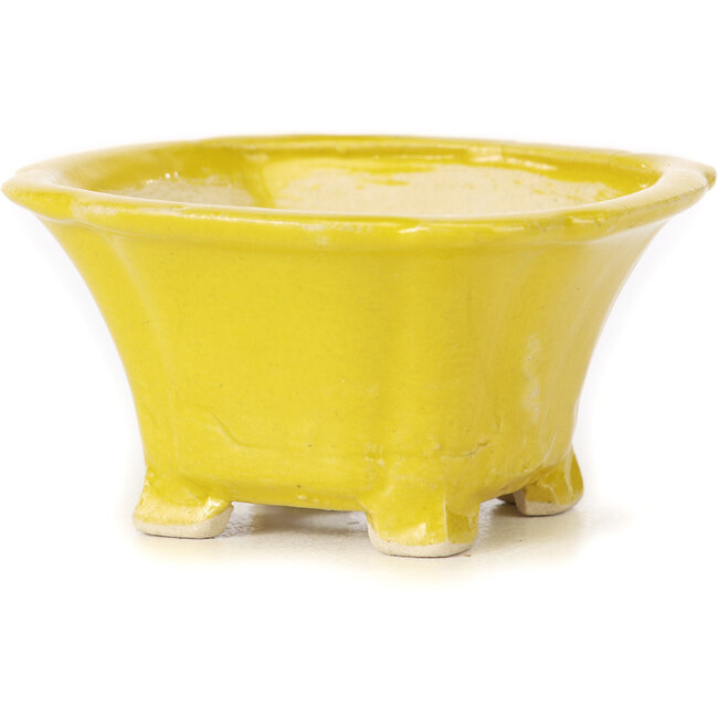Maceta de bonsái amarilla cuadrada de Seto - 90 x 90 x 45 mm