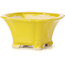 Pot à bonsaï carré jaune par Seto - 90 x 90 x 45 mm