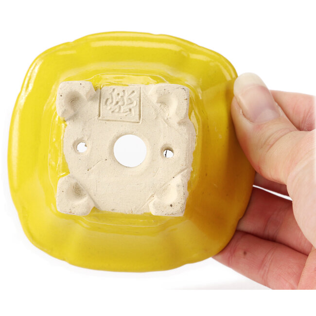 Square yellow bonsai pot by Seto - 90 x 90 x 50 mm