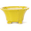 Square yellow bonsai pot by Seto - 90 x 90 x 45 mm