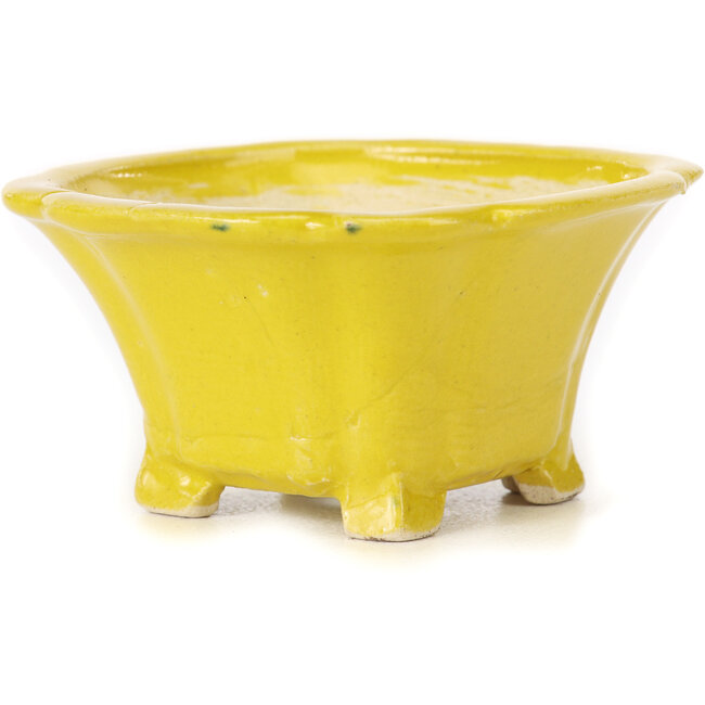 Quadratische gelbe Bonsaischale von Seto - 90 x 90 x 45 mm