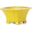 Pot à bonsaï carré jaune par Seto - 90 x 90 x 45 mm