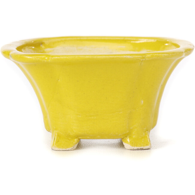 Square yellow bonsai pot by Seto - 90 x 90 x 45 mm